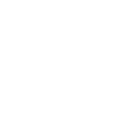 Day Night Driving School logo
