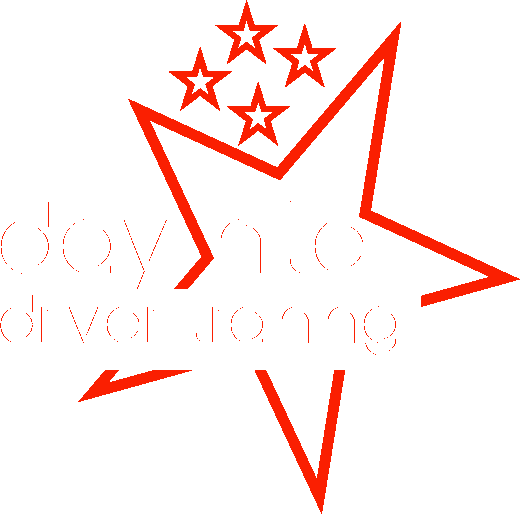 Day Night Driving School logo